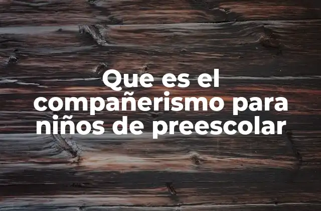 Que es el Compañerismo para Niños de Preescolar