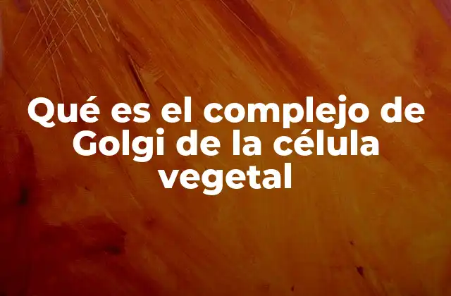 Qué es el Complejo de Golgi de la Célula Vegetal