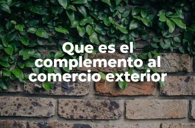 Que es el Complemento Al Comercio Exterior