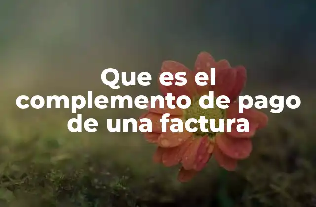 Que es el Complemento de Pago de una Factura
