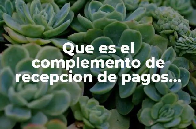 Que es el Complemento de Recepcion de Pagos 2018 2 La importancia del complemento en el sistema fiscal mexicano