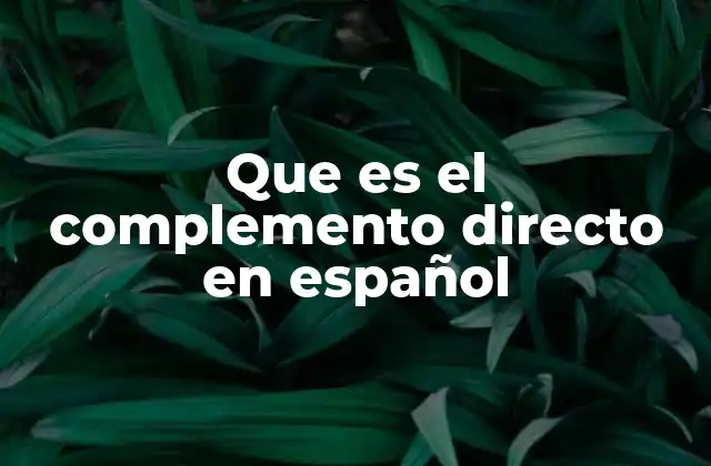 La importancia del complemento directo en la estructura de las oraciones