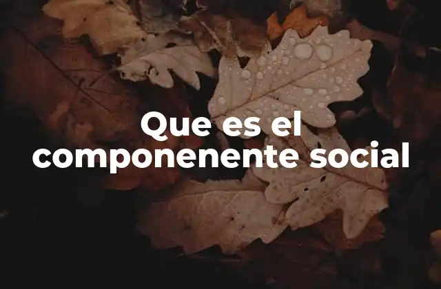 Que es el Componenente Social