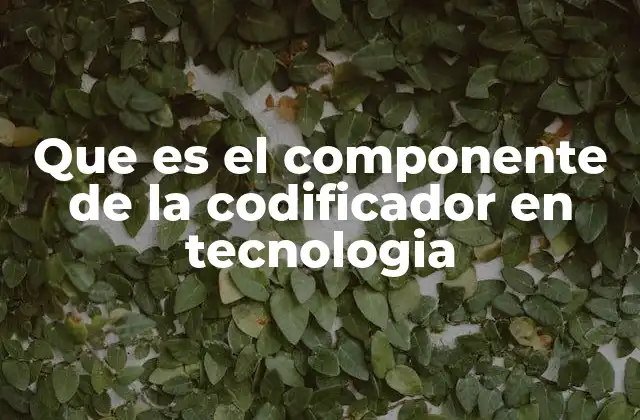 Que es el Componente de la Codificador en Tecnologia
