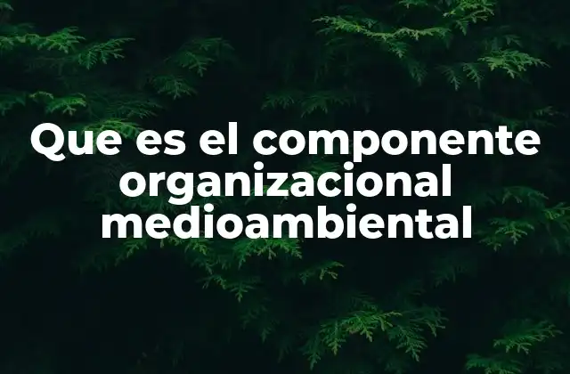 Que es el Componente Organizacional Medioambiental