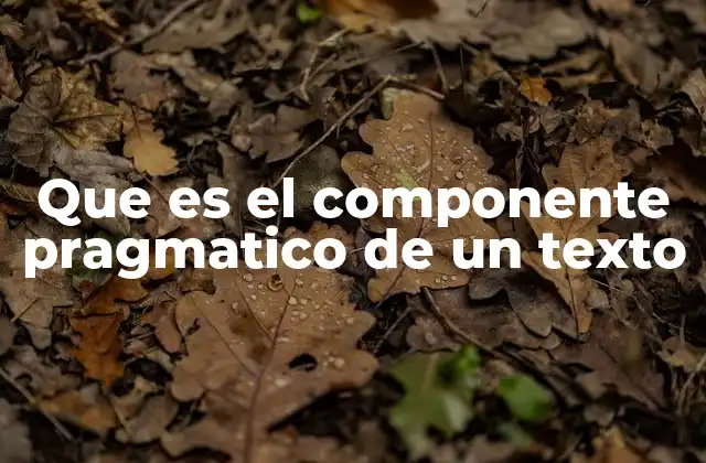 Que es el Componente Pragmatico de un Texto