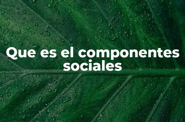 Que es el Componentes Sociales 2 Los elementos que conforman la estructura social