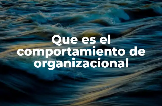 Que es el Comportamiento de Organizacional