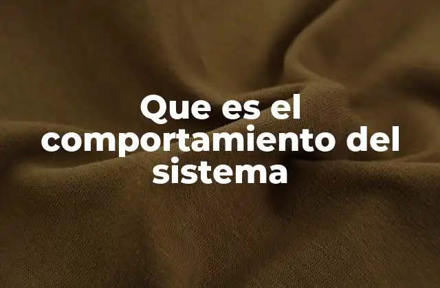 Que es el Comportamiento Del Sistema