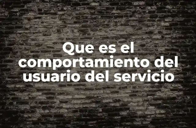 Que es el Comportamiento Del Usuario Del Servicio