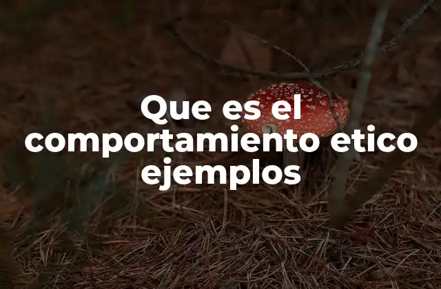 Que es el Comportamiento Etico Ejemplos