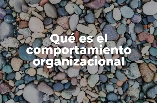 Qué es el Comportamiento Organizacional