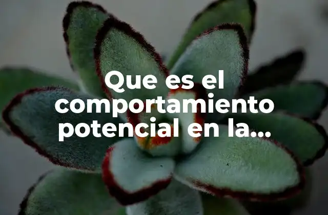 La importancia de predecir conductas en el aula