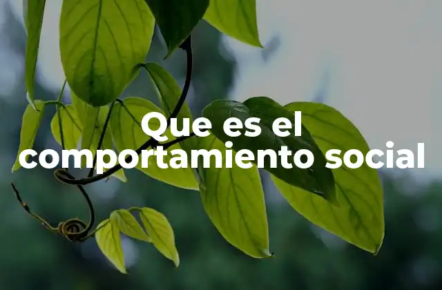 Que es el Comportamiento Social