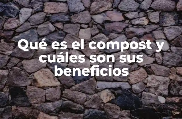 Qué es el Compost y Cuáles Son Sus Beneficios 2 La importancia del compostaje en la agricultura sostenible