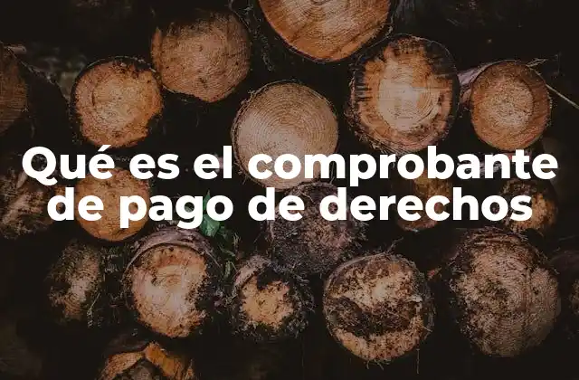 Qué es el Comprobante de Pago de Derechos
