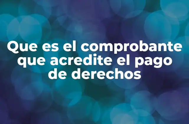 Que es el Comprobante que Acredite el Pago de Derechos 2 La relevancia de los documentos de pago en el cumplimiento legal