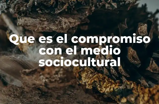 Que es el Compromiso con el Medio Sociocultural