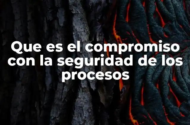 Que es el Compromiso con la Seguridad de los Procesos