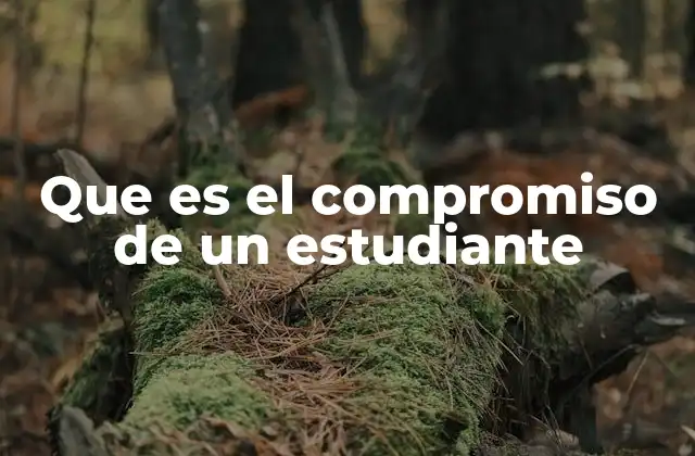 Que es el Compromiso de un Estudiante