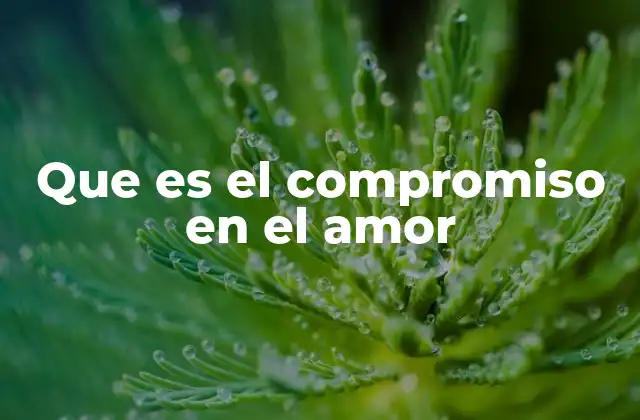 Que es el Compromiso en el Amor