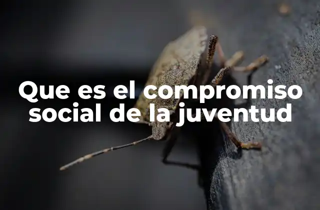 Que es el Compromiso Social de la Juventud