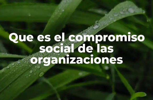 Que es el Compromiso Social de las Organizaciones