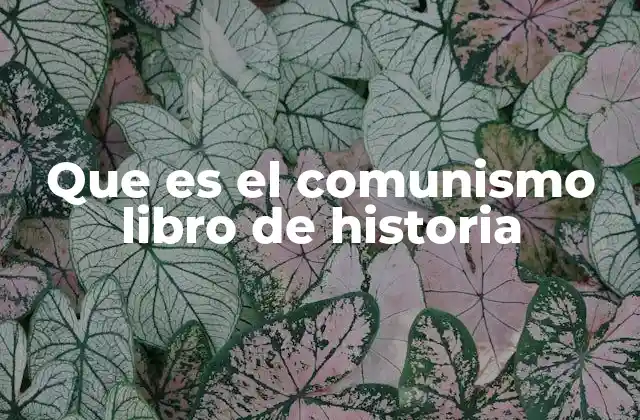 Que es el Comunismo Libro de Historia