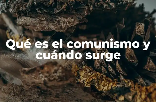 Qué es el Comunismo y Cuándo Surge