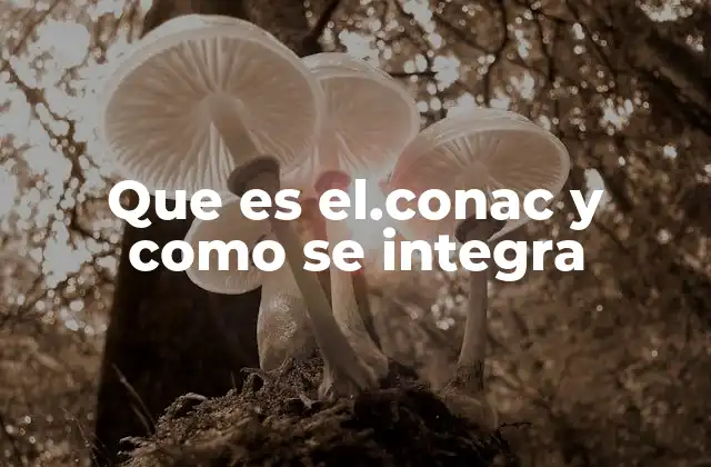 El papel del .conac en la arquitectura tecnológica