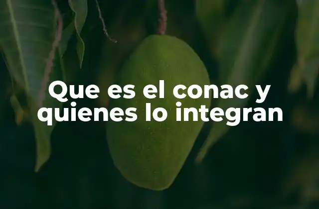 Que es el Conac y Quienes Lo Integran