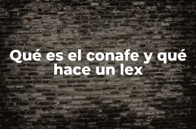 Qué es el Conafe y Qué Hace un Lex