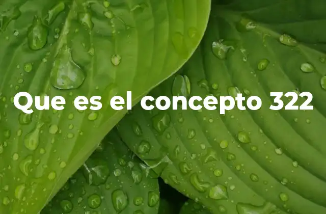 El concepto 322 como herramienta de estructuración
