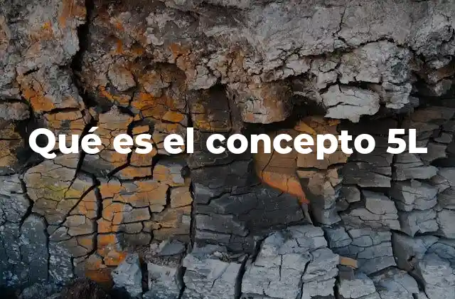 Qué es el Concepto 5l