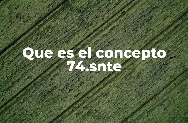 Que es el Concepto 74.snte