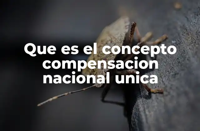 Que es el Concepto Compensacion Nacional Unica 2 La compensación laboral en el contexto económico nacional