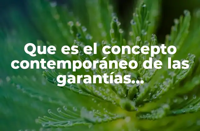 Que es el Concepto Contemporáneo de las Garantías Constitucionales