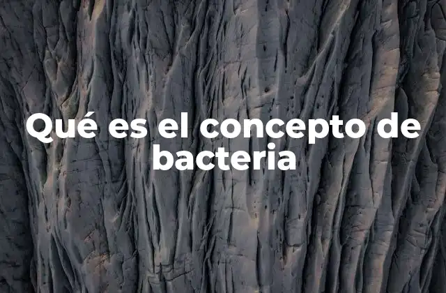 Qué es el Concepto de Bacteria