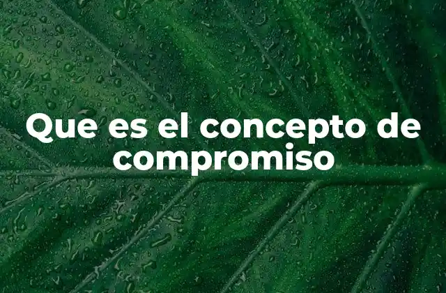 Que es el Concepto de Compromiso