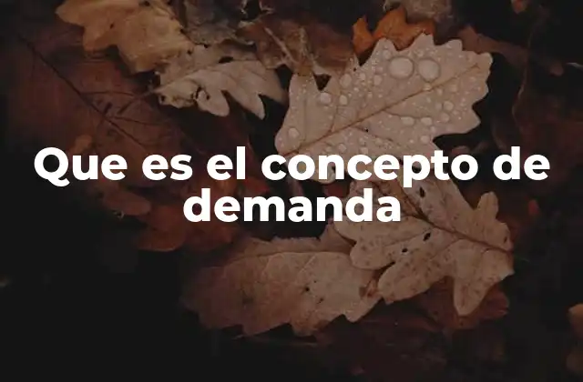 Que es el Concepto de Demanda