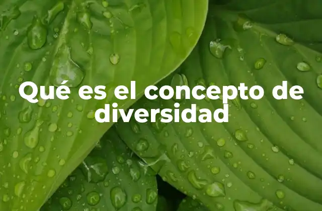 Qué es el Concepto de Diversidad