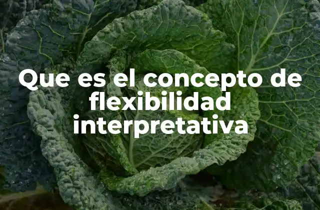 Que es el Concepto de Flexibilidad Interpretativa
