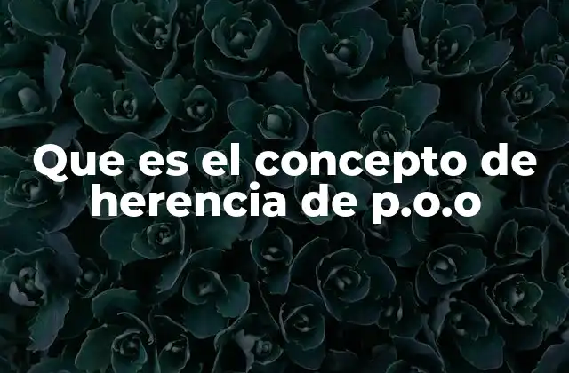 Que es el Concepto de Herencia de P.o.o