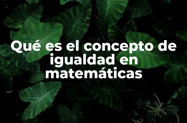 Qué es el Concepto de Igualdad en Matemáticas