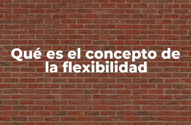 Qué es el Concepto de la Flexibilidad