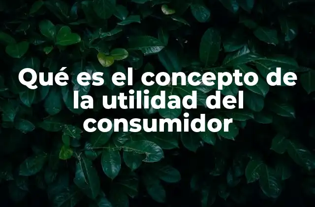 Qué es el Concepto de la Utilidad Del Consumidor
