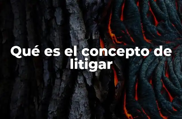 Qué es el Concepto de Litigar