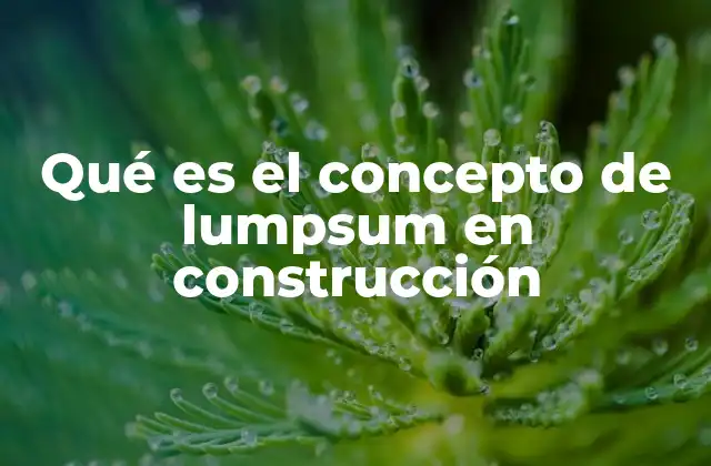 Qué es el Concepto de Lumpsum en Construcción