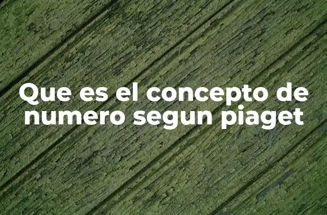 Que es el Concepto de Numero Segun Piaget