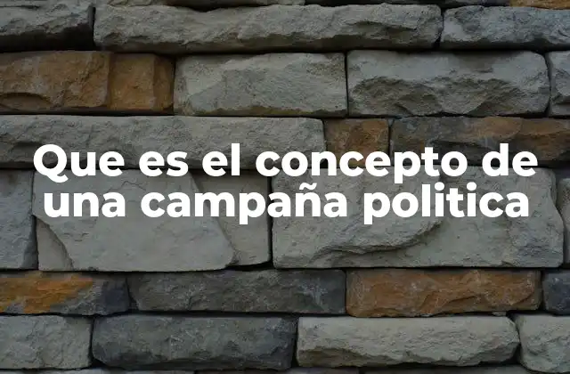 Que es el Concepto de una Campaña Politica
